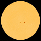 SDO/HMI Continuum Image of the Sun