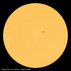 SDO/HMI Continuum Image of the Sun