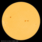 SDO/HMI Continuum Image of the Sun